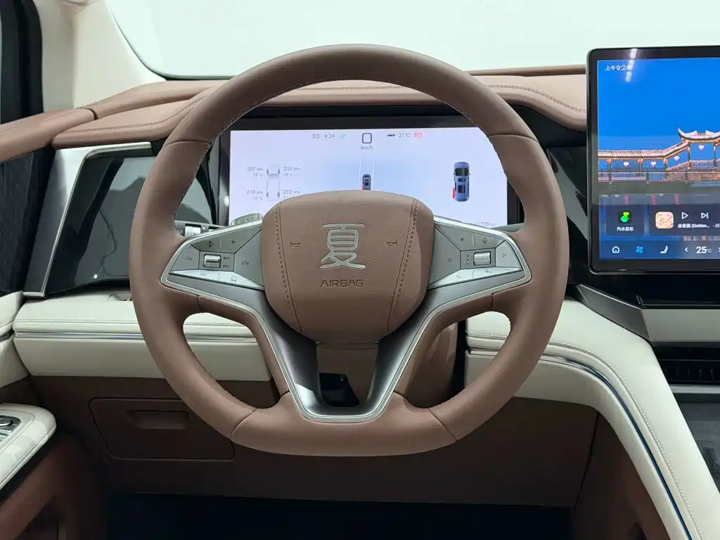 BYD Xia 2025 2025 DM-i 1.5T 180km Surpass Edition