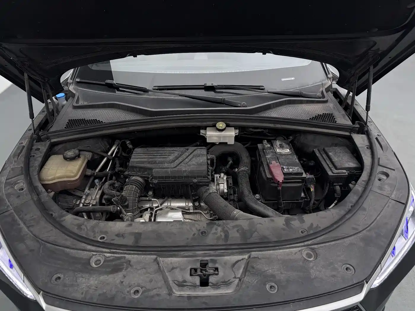 BYD Song PLUS 2020 1.5T Automatic Premium фото 17