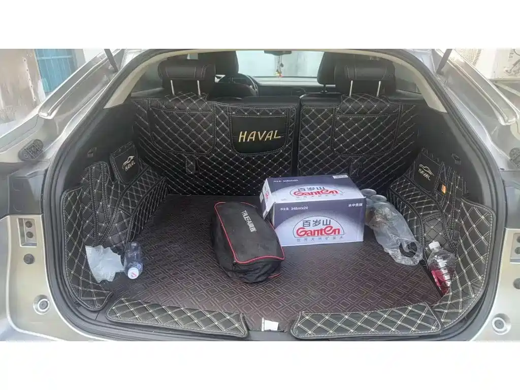 Фото 4 - Haval F7x