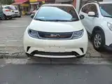 Фото 3 - BYD Dolphin