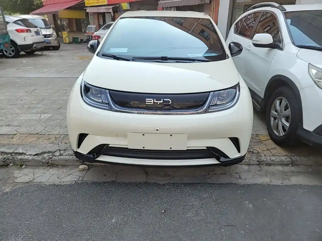 Фото 3 - BYD Dolphin