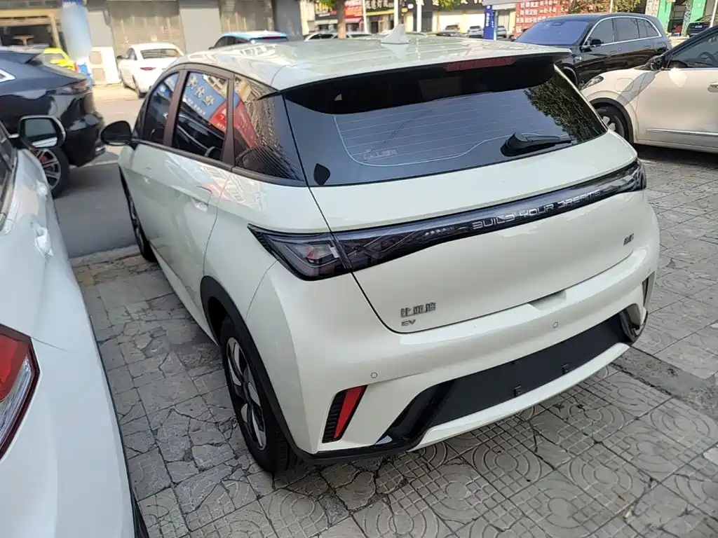 Фото 5 - BYD Dolphin