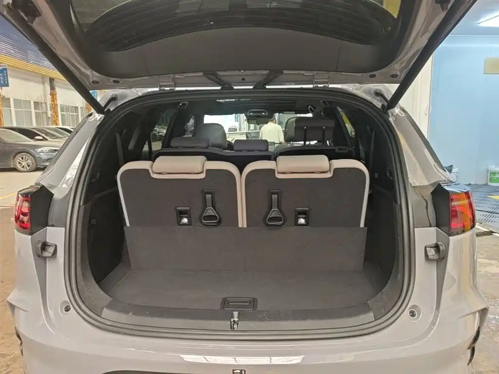 BYD Tang New Energy 2025 Smart Driving Edition DM-i 115KM Flagship фото 19