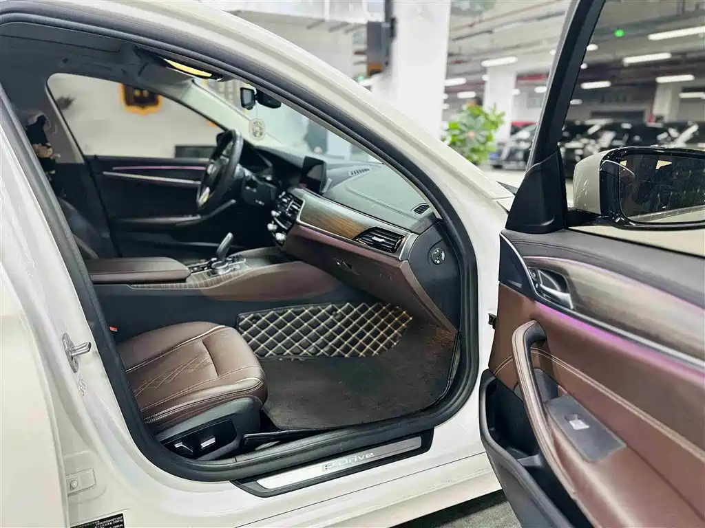 BMW 5 SERIES NEW ENERGY