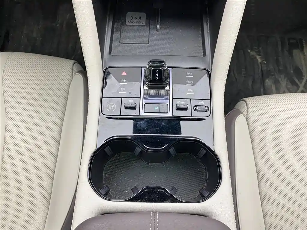 BYD SONGJIANG NEW ENERGY