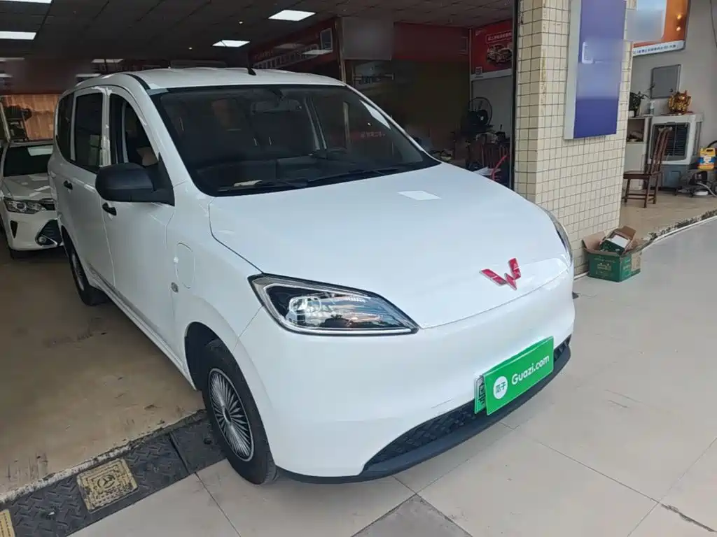 Wuling Motors Wuling Hongguang New Energy 2024 2024 Pure Electric 300KM Standard