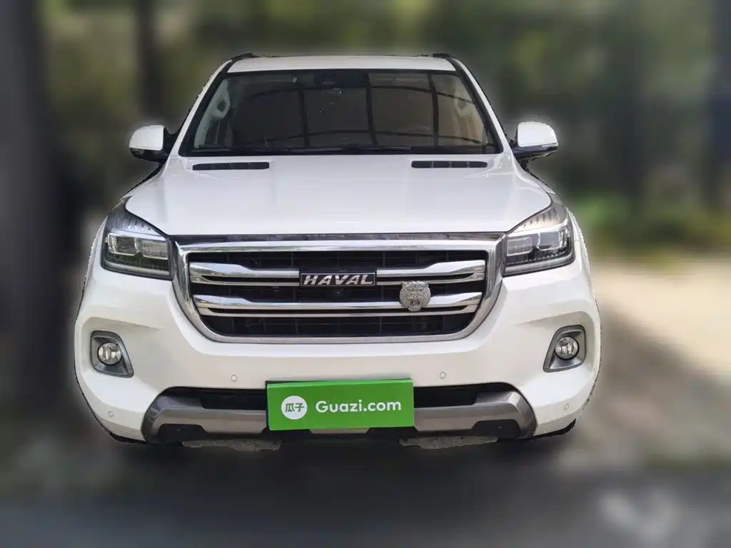 Haval H9 2020 2.0T Gasoline 4WD Premium 5-Seater фото 3