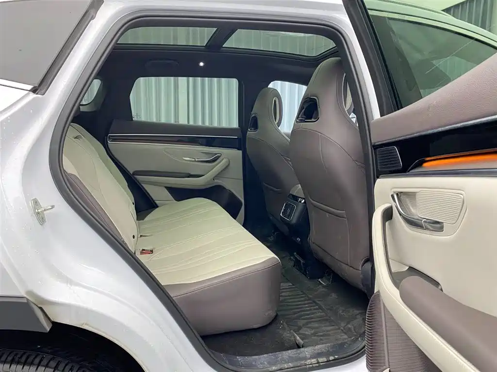 BYD SONGJIANG NEW ENERGY