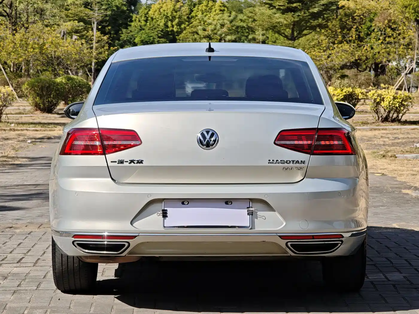 Volkswagen Magotan 2018 330TSI DSG Luxury фото 18