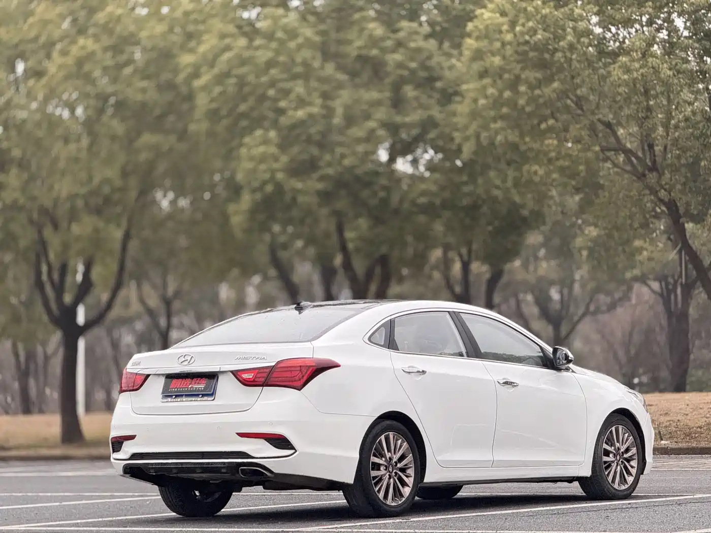 HYUNDAI NAME PICTURE