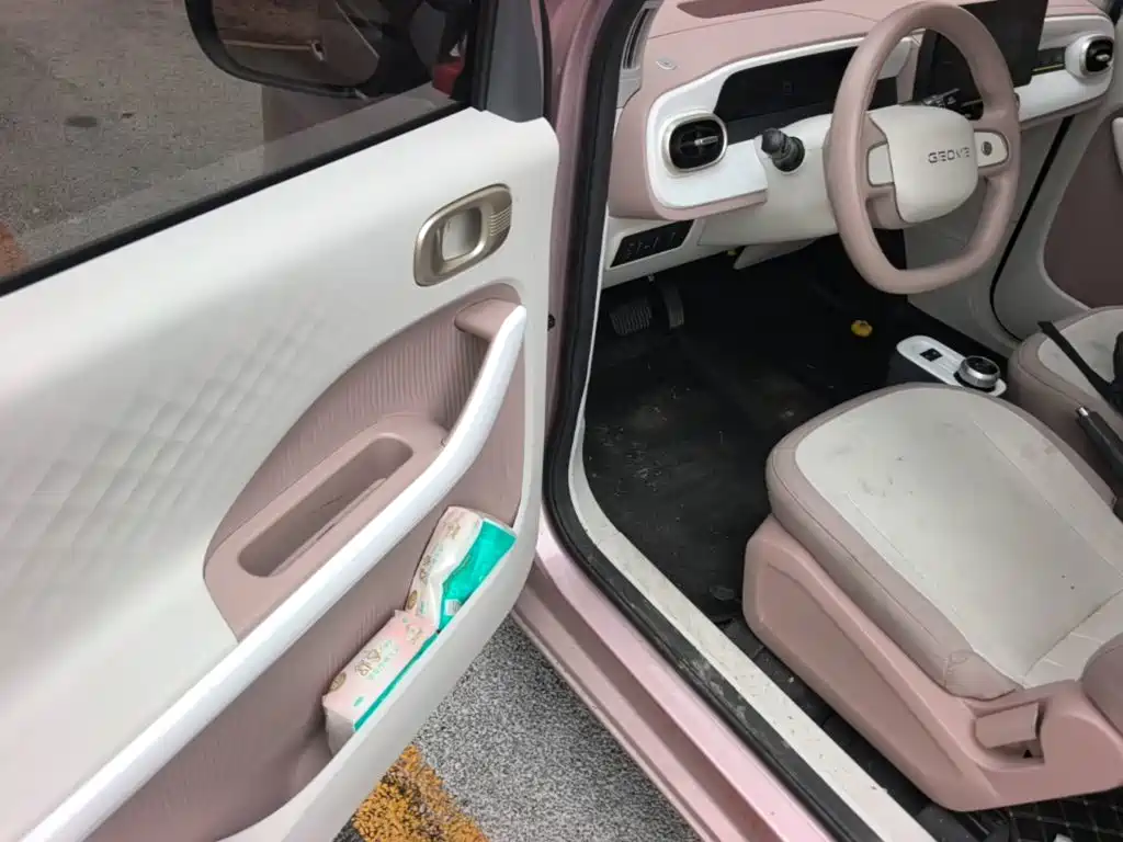 Geely Galaxy Panda 2026 2025 Panda mini 210km Vitality Bear