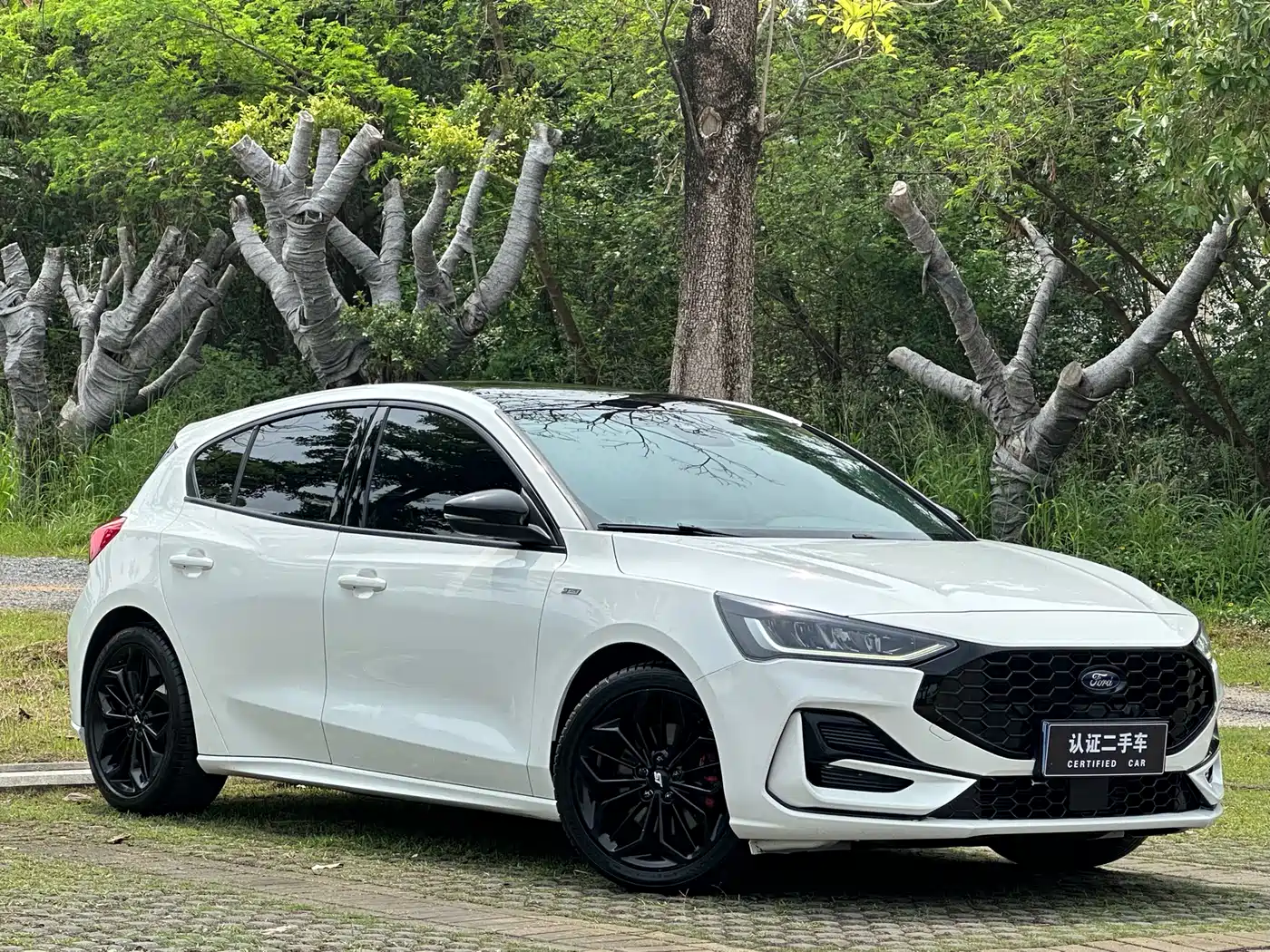 FORD FOX