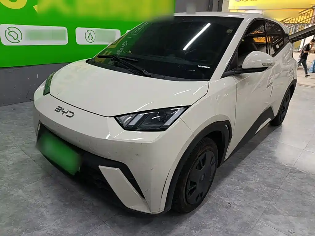 BYD Seagull 2024