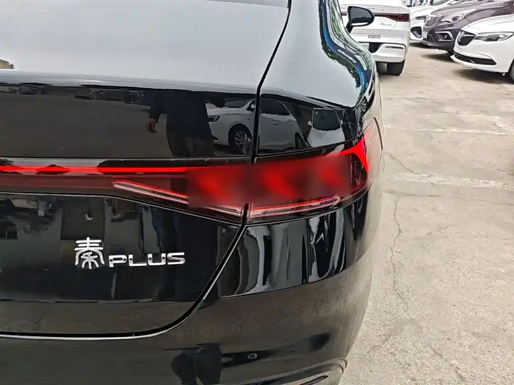 BYD Qin PLUS 2023 Champion Edition DM-i 120KM Surpassing Type фото 8