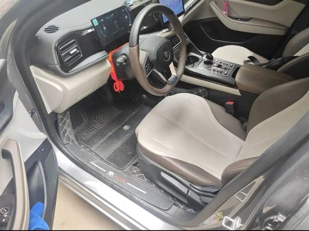 BYD Qin PLUS 2024 Glory Edition DM-i 55KM Leading фото 12