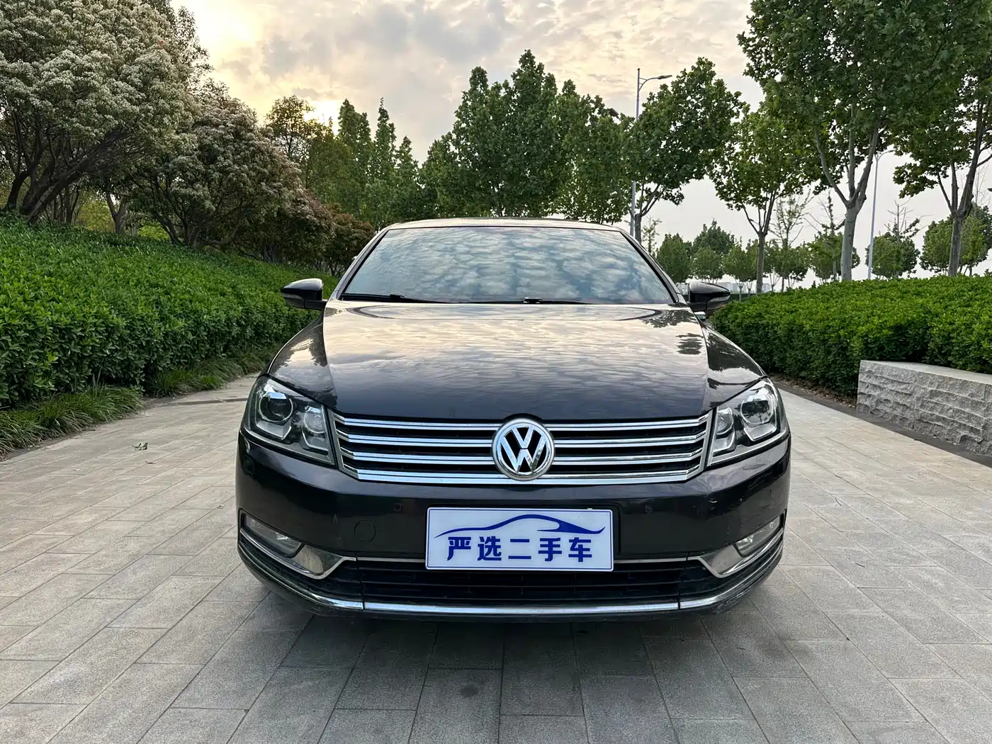 Volkswagen Magotan 2012 Facelift 1.8TSI Luxury фото 2