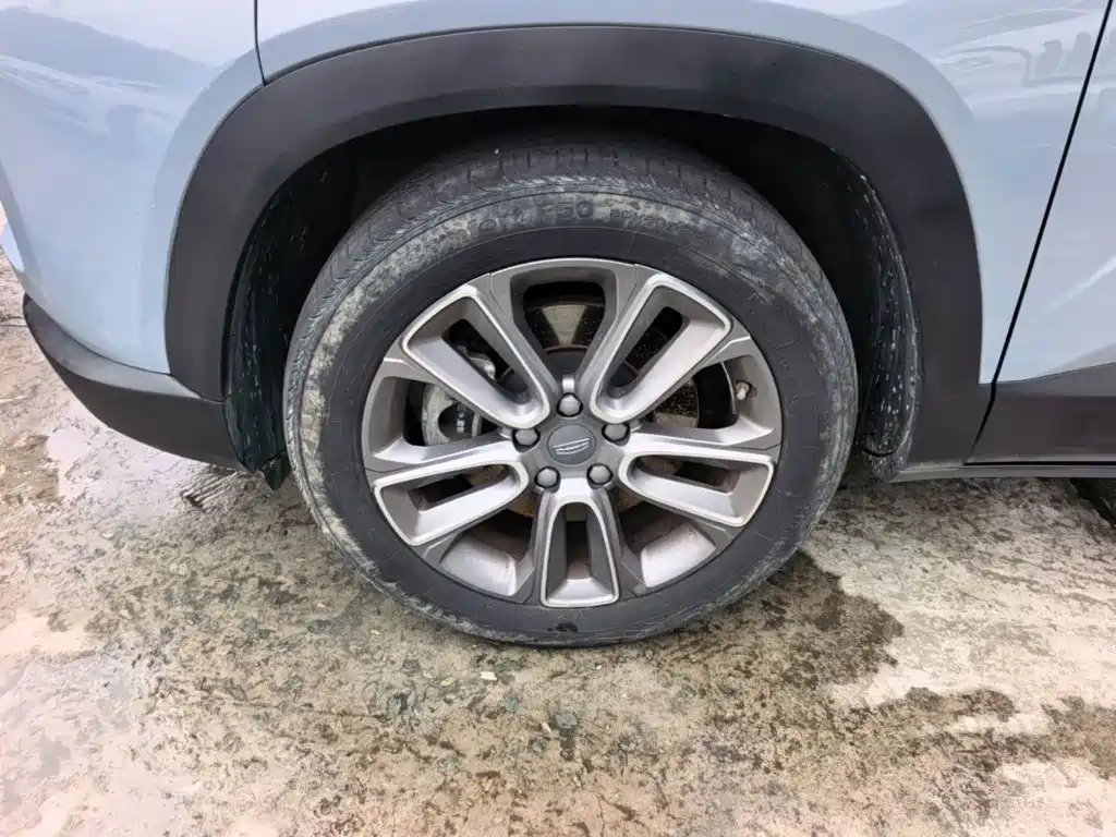 Фото 23 - Geely ICON