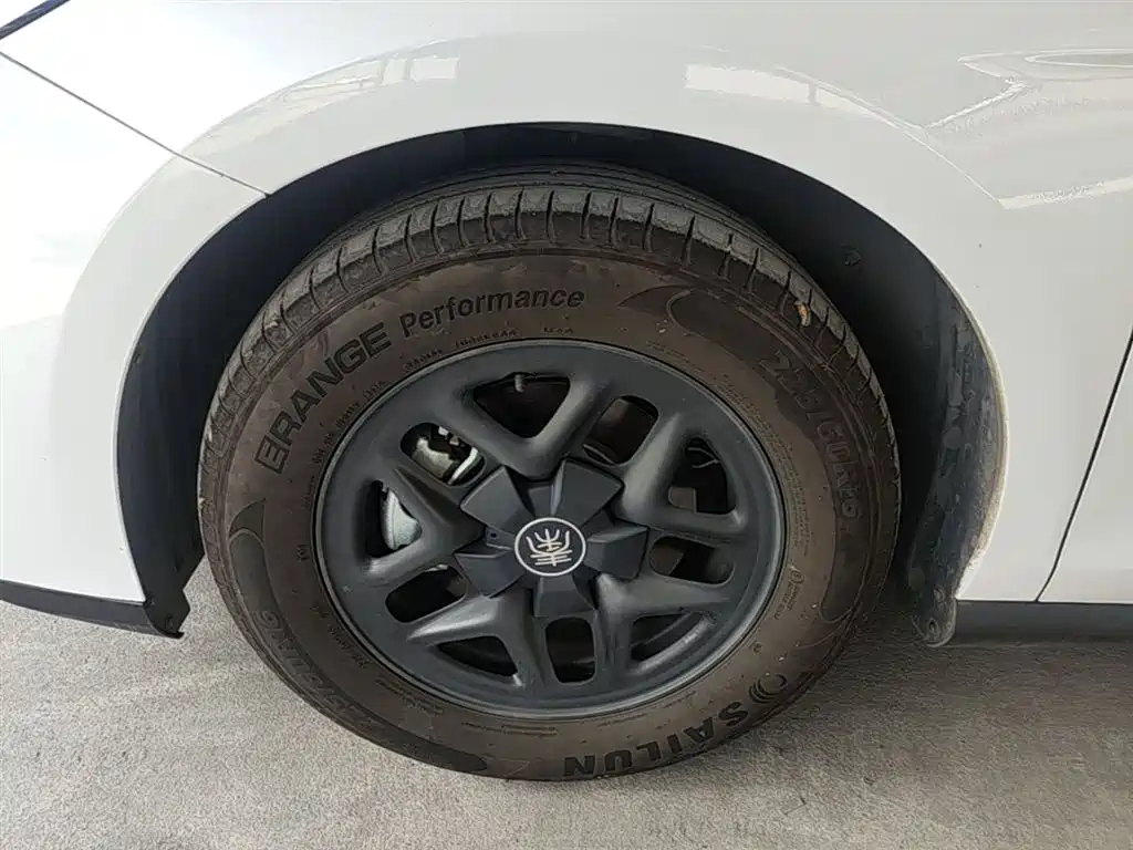 BYD Qin PLUS 2025 DM-i Smart Drive 55KM Leader фото 23
