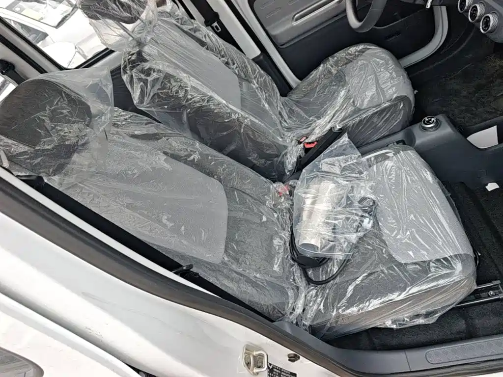 Wuling Motors Wuling Zhiguang NEV 2026 2025 Model 305km Base Version