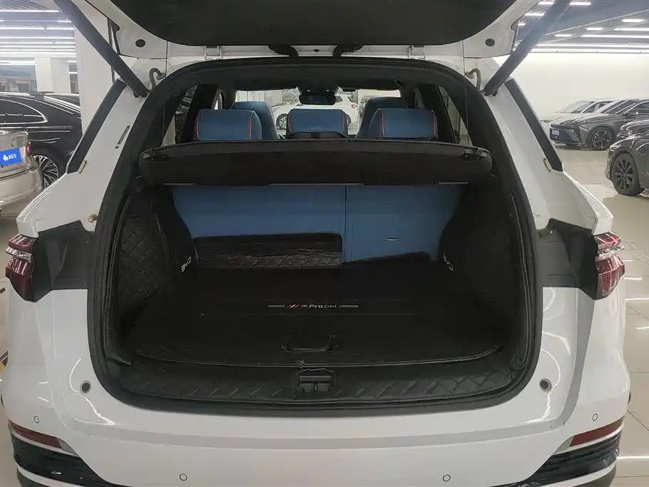 BYD Song Pro New Energy 2022 DM-i 110km Flagship Pro фото 4