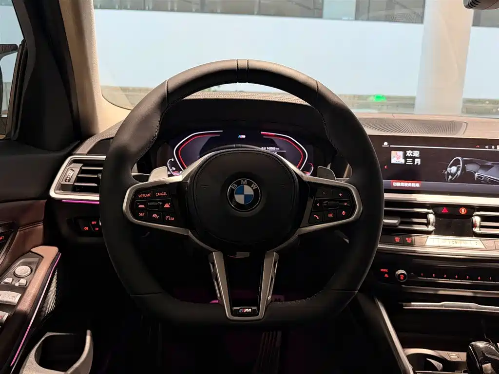 BMW 3 Series 2020 325Li M Sport Package фото 9