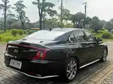 Photo 24 - Hyundai Mistra