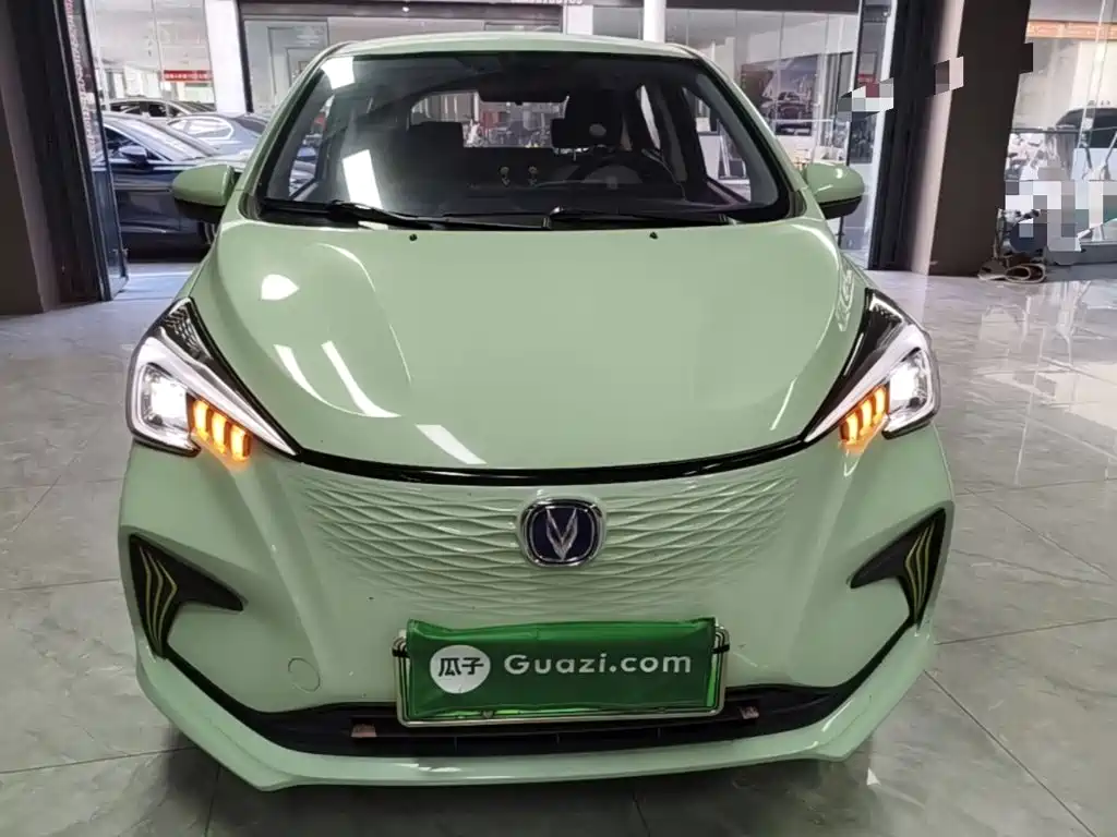 2023 Changan Benben E-Star
