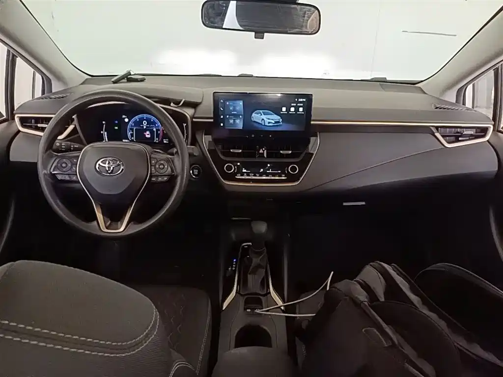 TOYOTA ASIAN LION