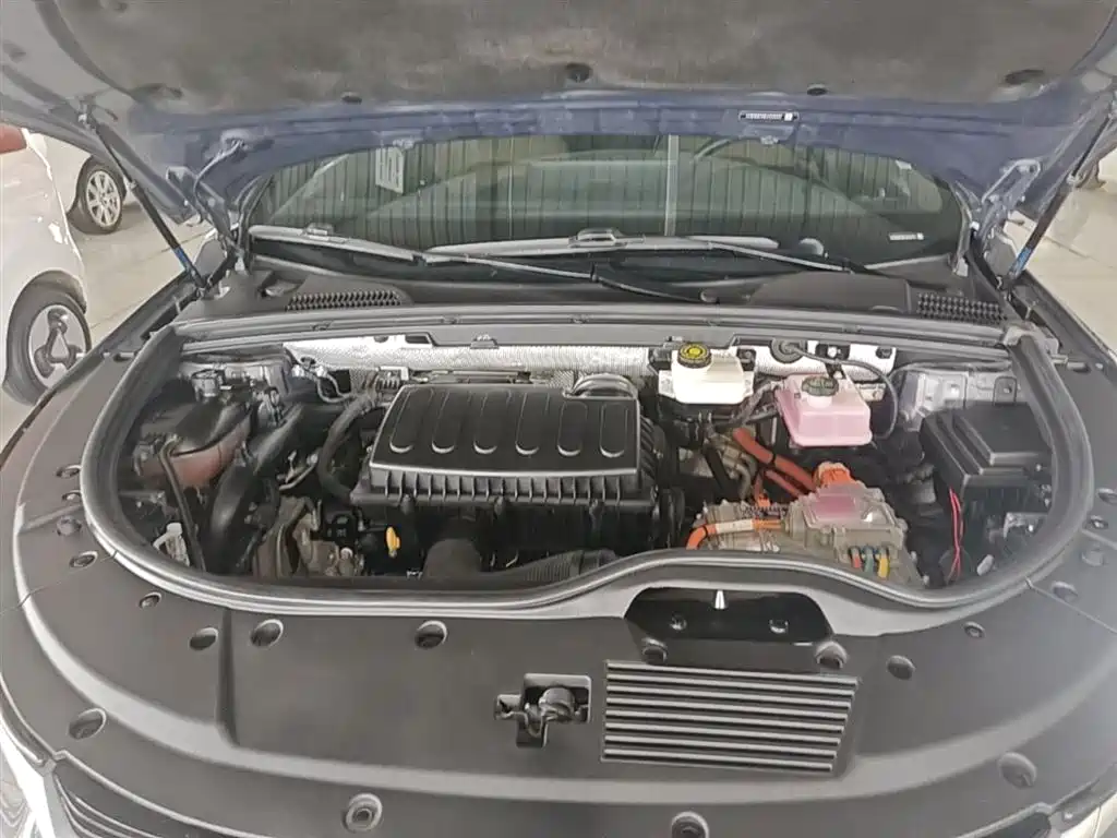 BYD Tang New Energy 2021 DM 2.0T 4WD Performance Premium фото 20