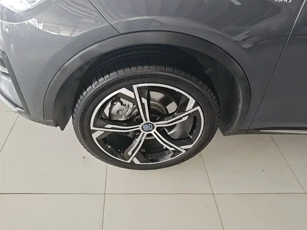 BYD Tang New Energy 2021 DM 2.0T 4WD Performance Premium фото 23