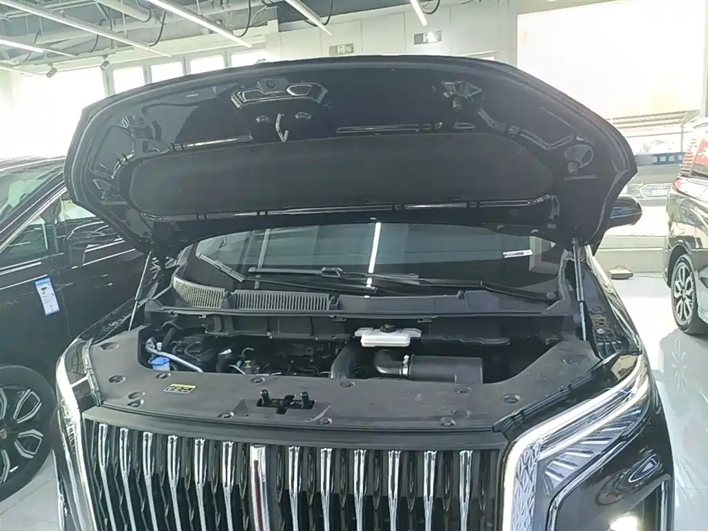 Hongqi HQ9 2023 2.0T Smart Connect Flag Enjoy Edition фото 20