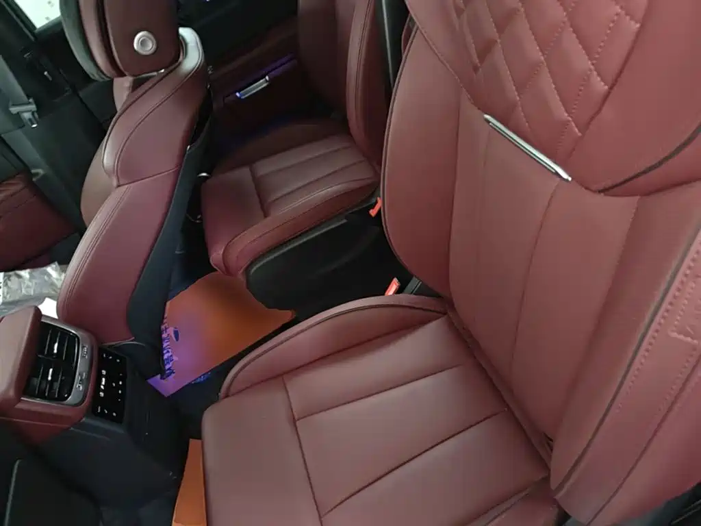 Hongqi E-HS9 2022 660km Qi Chang Edition (6-seater) фото 17