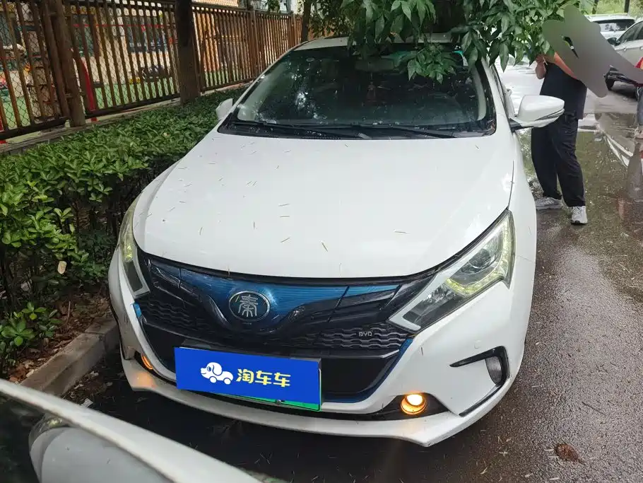 BYD Qin New Energy 2017 2017 Qin EV300 Flagship