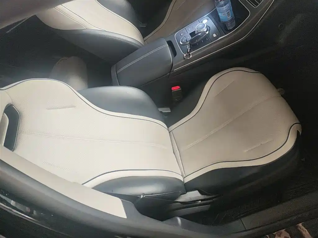 BYD Destroyer 05 2024 Glory Edition DM-i 55KM Luxury фото 25