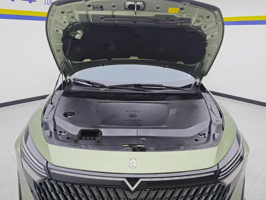 Venucia DaV DD-i 2023 2023 110km iE Edition