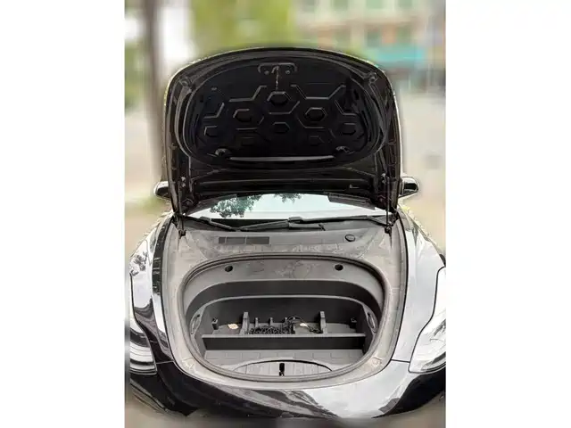Tesla Model 3 2021 Standard Range Rear-Wheel Drive Upgrade — фото 3