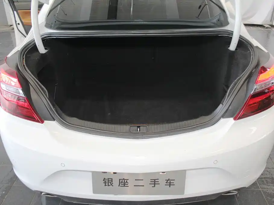 Фото 7 - Buick Regal