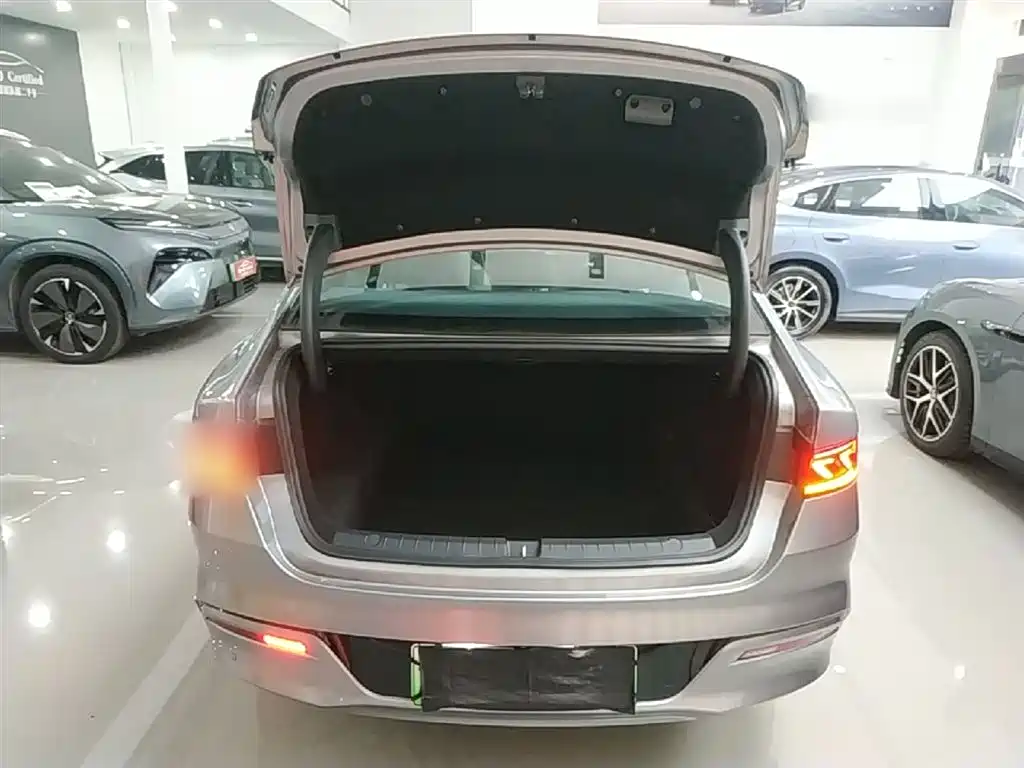 BYD Qin PLUS 2023 Champion Edition DM-i 120KM Excellence фото 19