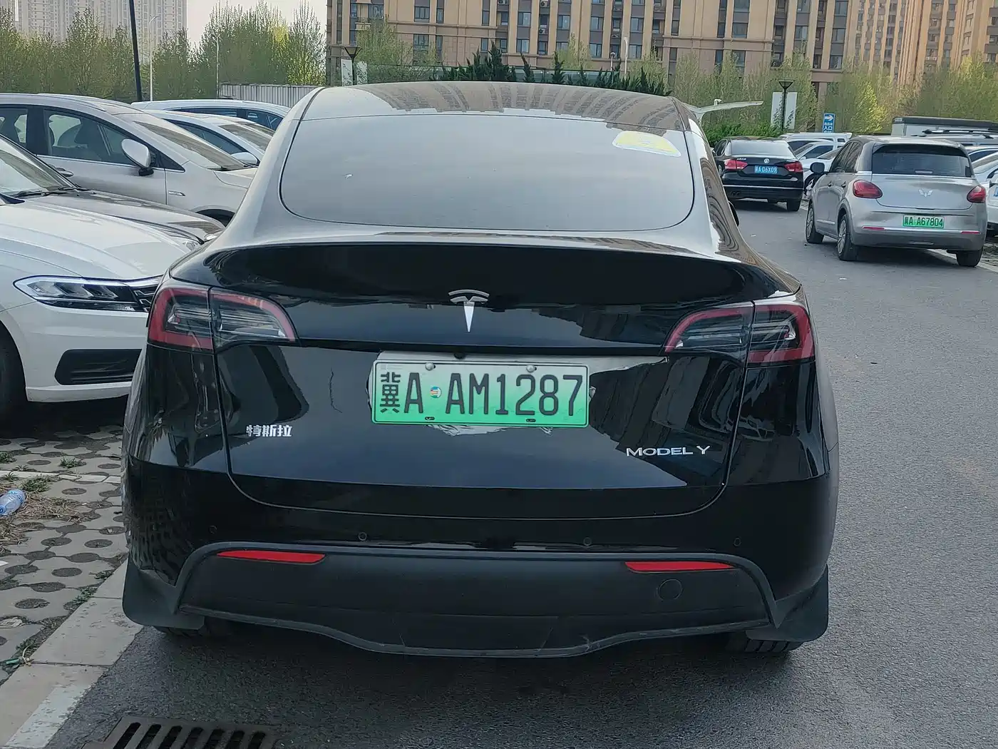 TESLA MODEL Y