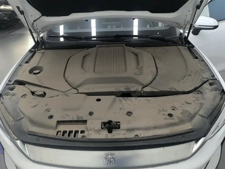 BYD Qin PLUS 2021 EV 400KM Luxury Model фото 10