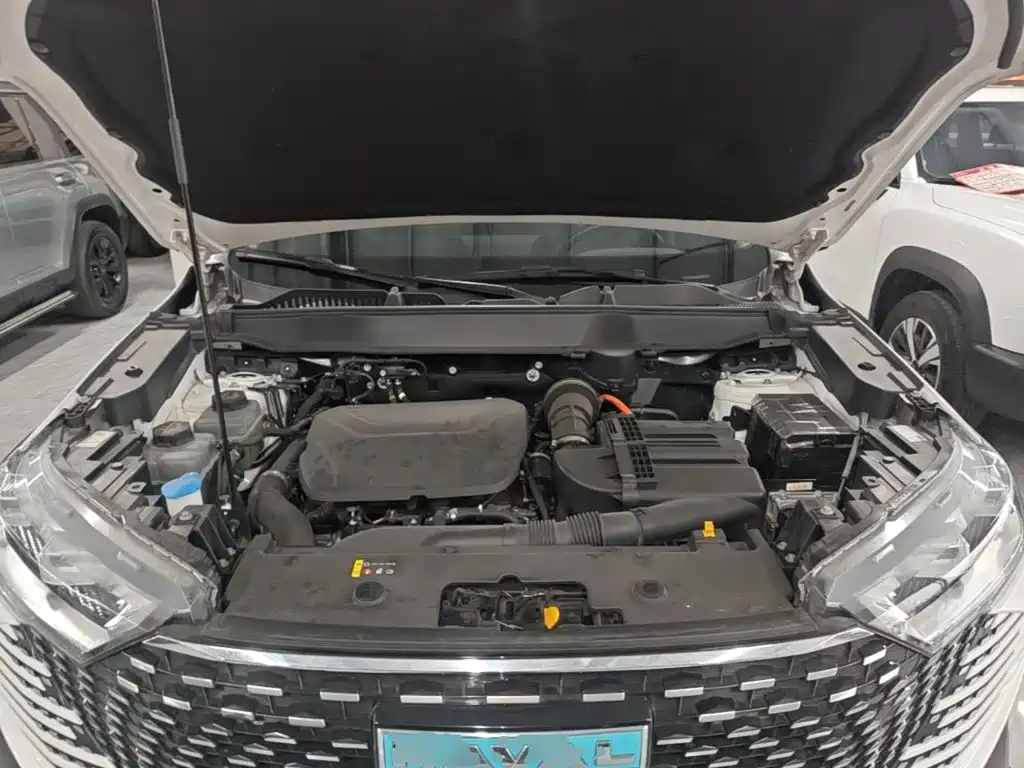 Haval H6 New Energy 2023 2023 DHT-PHEV 55KM Joy Ride Edition