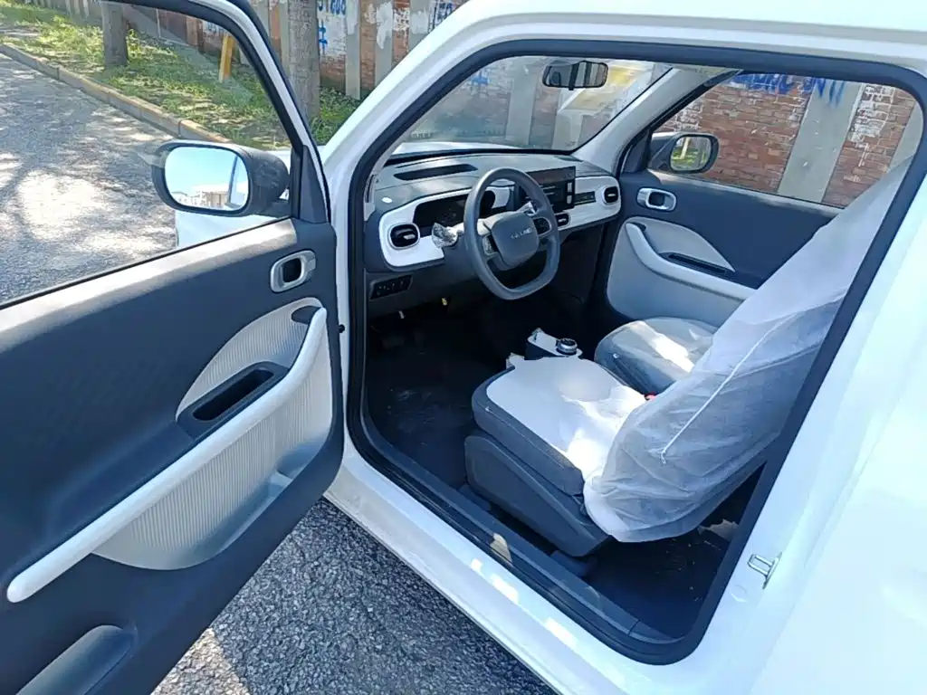 Geely Galaxy Panda 2026 2025 Panda mini 210km Vitality Bear