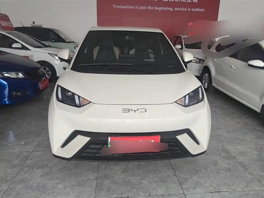 BYD Seagull 2024 Glory Edition 305km Freedom Edition фото 2