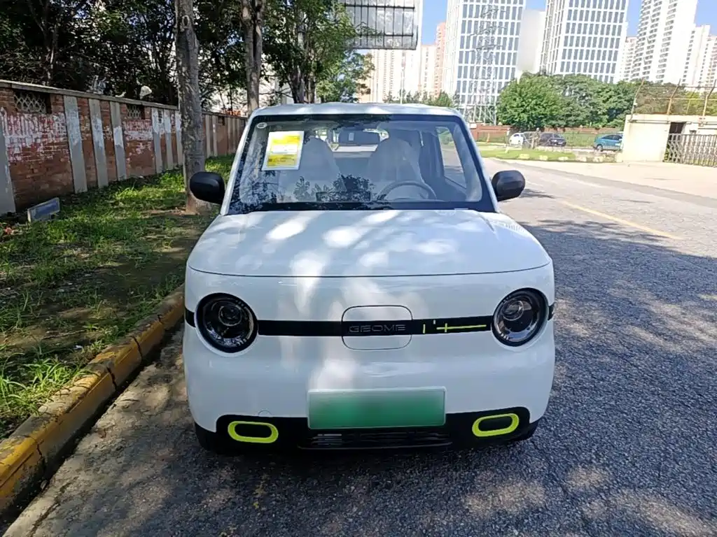 Geely Galaxy Panda 2026 2025 Panda mini 210km Vitality Bear