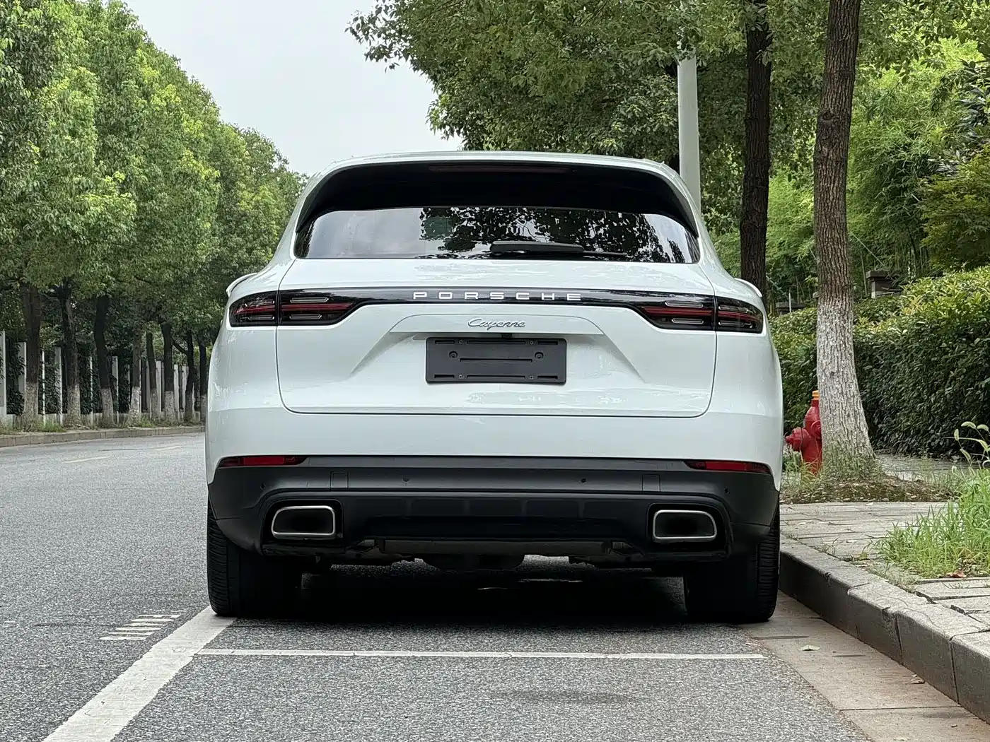 Porsche Cayenne 2019 Cayenne 3.0T фото 4