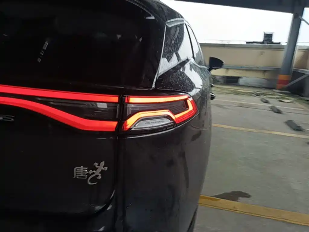 BYD Tang New Energy 2021 DM-i 112KM Premium фото 8