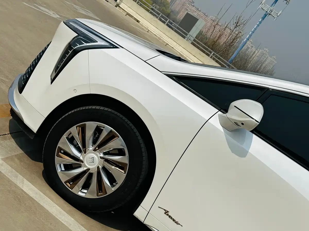 Buick Century 2025 2.0T 4-Seater Private Edition фото 8