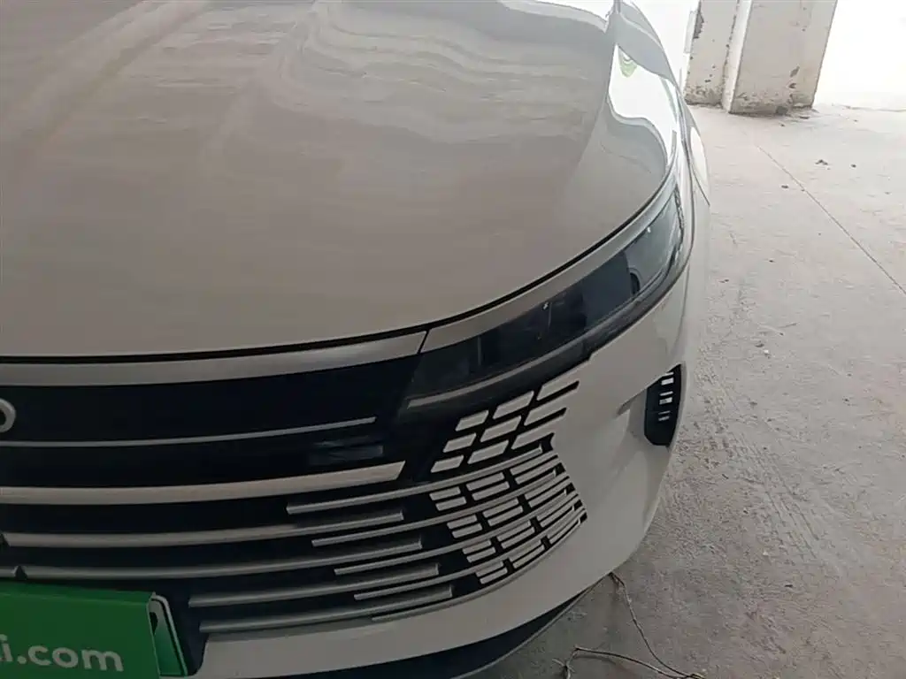 BYD Destroyer 05 2024 Glory Edition DM-i 55KM Luxury фото 24