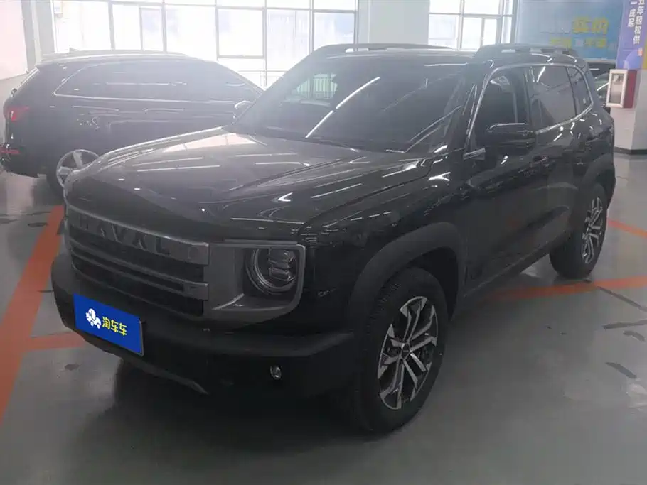 Haval Big Dog 2024 1.5T DCT Border Collie Edition