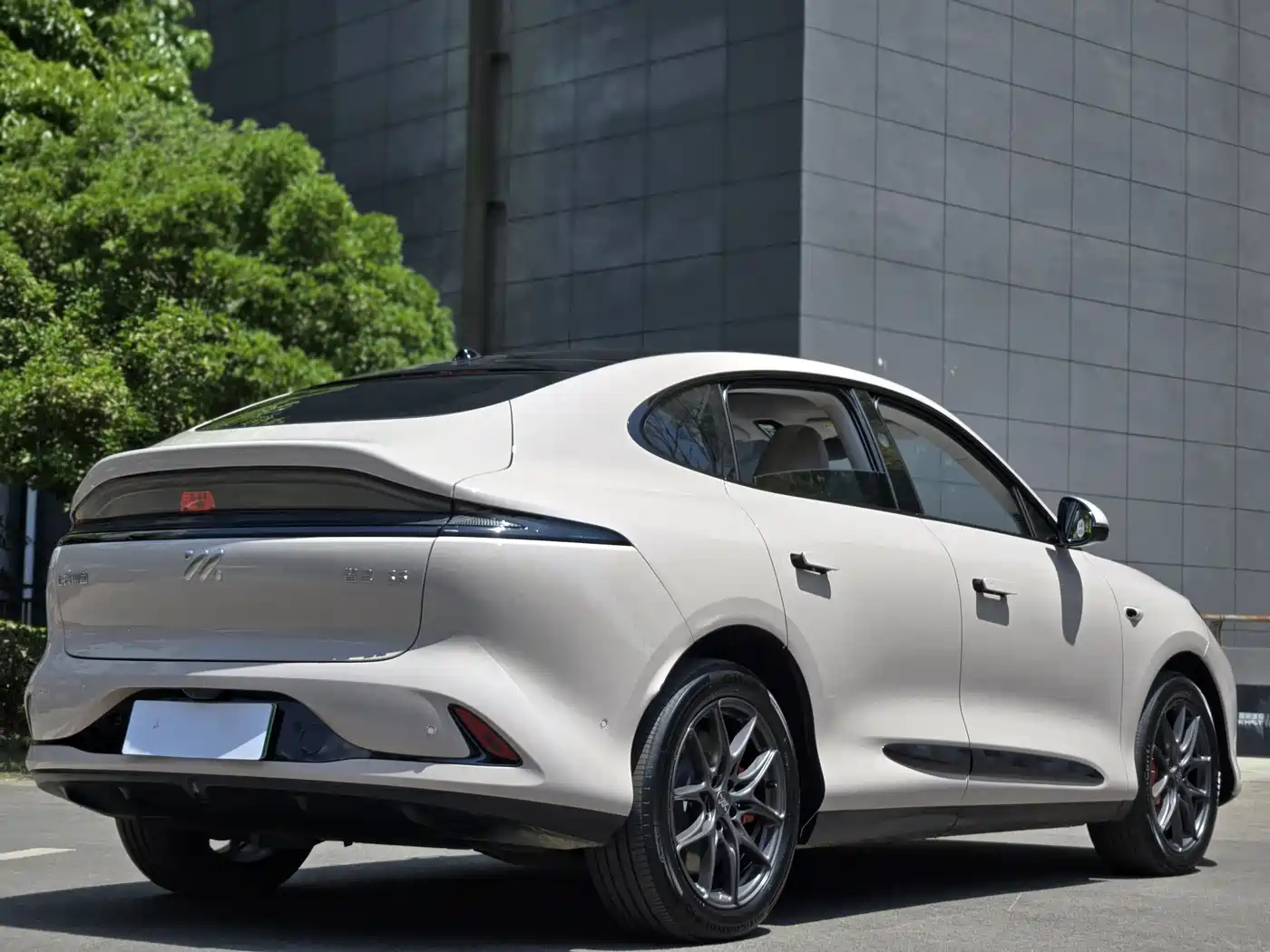 ZHIJI AUTOMOBILE ZHIJI LS6